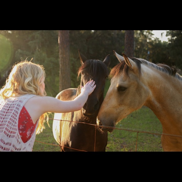 Meet your Posher, Constance - Picture 3 of 4